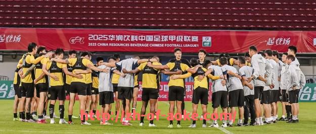 澳客足彩-法甲球员最多的国家队名单及其影响力分析