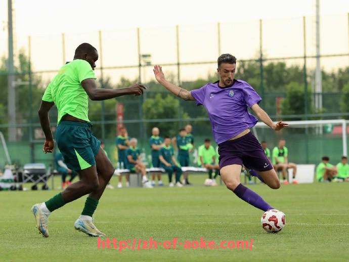 澳客足彩-法甲顶级比赛高清回放合集：经典对决不容错过